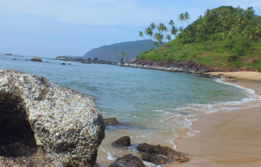 All Seasons Guest House at Agonda Beach