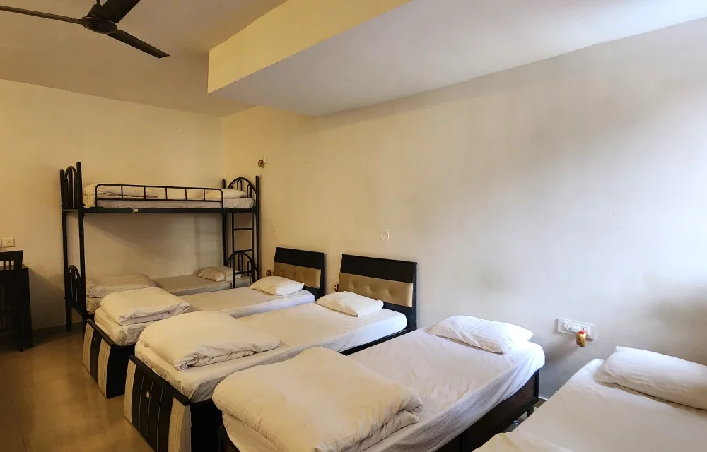 All Seasons Guest House - Blog Image